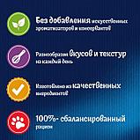 Felix, Феликс кусочки с форелью в желе для кошек, уп.26*75гр, фото 4