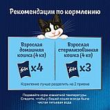 Felix, Феликс кусочки с форелью в желе для кошек, уп.26*75гр, фото 4