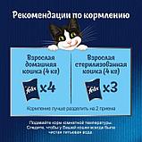 Felix, Феликс кусочки с ягнёнком в желе для кошек, пауч*75гр, фото 4