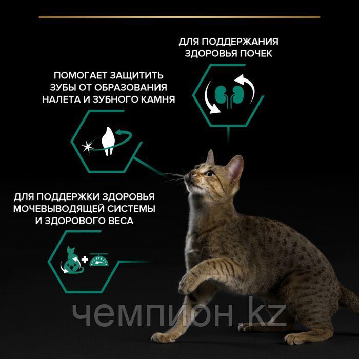 Pro Plan Sterilised Turkey, Про План для стерилизованных кошек с индейкой, уп. 400гр. - фото 4 - id-p26487079