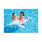 Надувная игрушка Intex 58535NP в форме дельфина для плавания, фото 2
