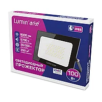 Светодиодный прожектор LED Lumin arte LFL-100W/05 100Вт 5700К 8000лм чёрный IP 65