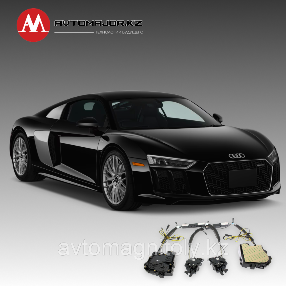 Доводчики дверей(присоски) Audi R8 2016-2018