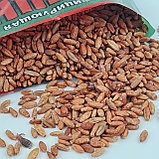 Зерно от серых и черных крыс Хищник 200 гр (50 шт), фото 4