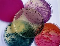 Агар для бактериостаза AATCC (Агар FDA) (AATCC Bacteriostasis Agar (FDA Agar)), 500г/уп.