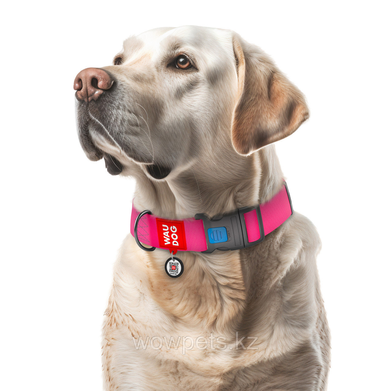 Ошейник для собак WAUDOG Waterproof, пластиковая пряжка-фастекс, розовый (Ш 40 мм Д 43-70 см) - фото 3 - id-p114890038