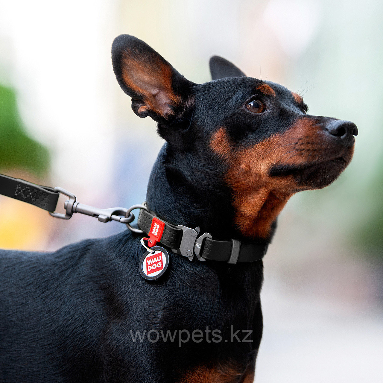 Ошейник для собак WAUDOG Waterproof, металлическая пряжка-фастекс, черный (Ш 15 мм Д 23-35 см) - фото 3 - id-p114890123
