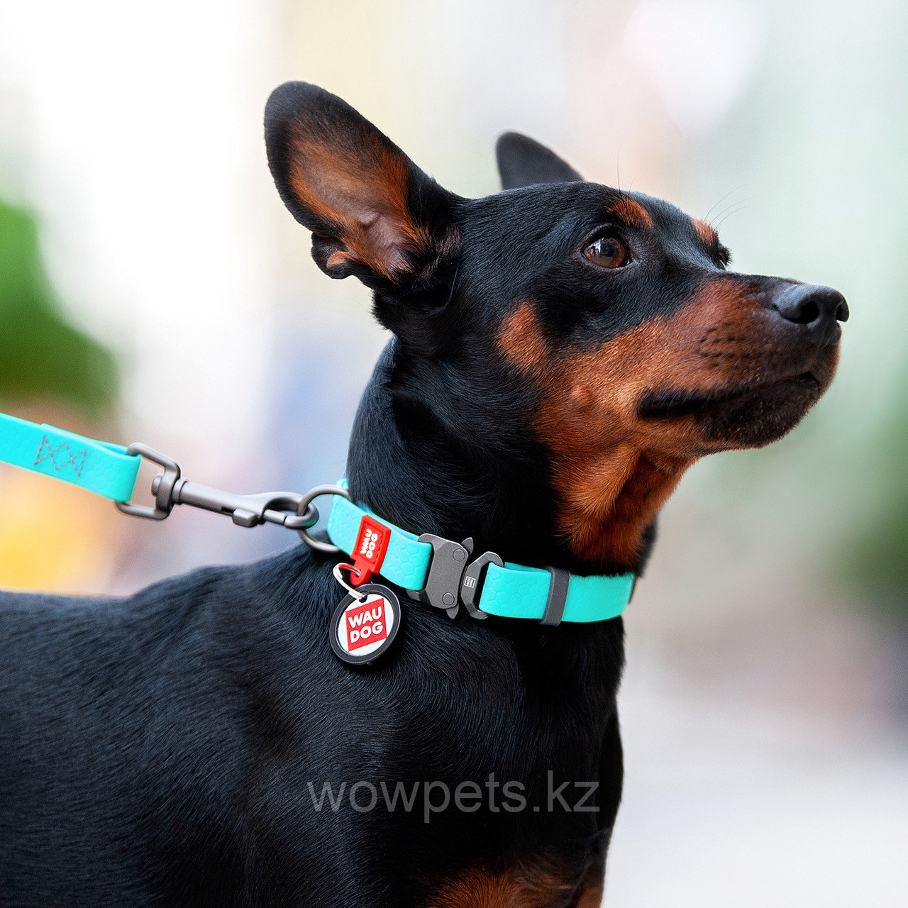 Ошейник для собак WAUDOG Waterproof, светящийся, металлическая пряжка-фастекс, ментоловый (Ш 15 мм Д 23-35 см) - фото 5 - id-p114890135