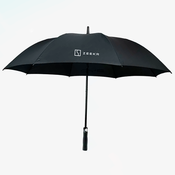 Зонт, зонтик для машины Zeekr (Не складной) - фото 1 - id-p114890178