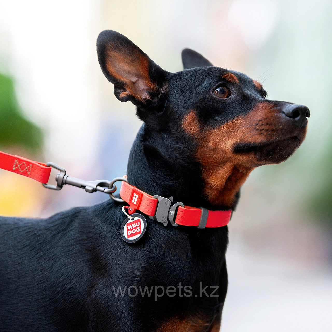 Ошейник для собак WAUDOG Waterproof, металлическая пряжка-фастекс, красный (Ш 20 мм Д 24-40 см) - фото 3 - id-p114890193