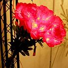 Цветы пион 60 см Красный, фото 2