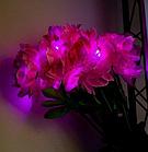 Цветы пион 60 см Ярко- розовый, фото 2