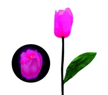 Цветы тюльпан 60 см Розовый