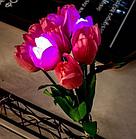 Цветы тюльпан 60 см Розовый, фото 2