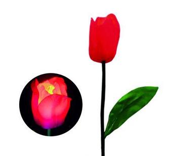 Цветы тюльпан 60 см Красный
