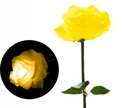 Цветы роза 60 см Желтый