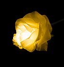 Цветы роза 60 см Желтый, фото 5