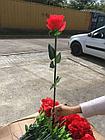 Цветы роза 60 см Красный, фото 2