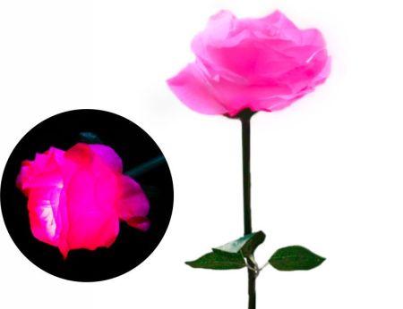 Цветы роза 60 см Розовый - фото 1 - id-p114892413