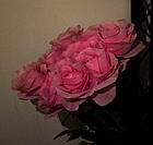 Цветы роза 60 см Розовый, фото 2