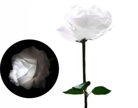 Цветы роза 60 см Белый