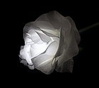 Цветы роза 60 см Белый, фото 3