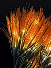 Цветы колос пшеницы букет 60 см, фото 3