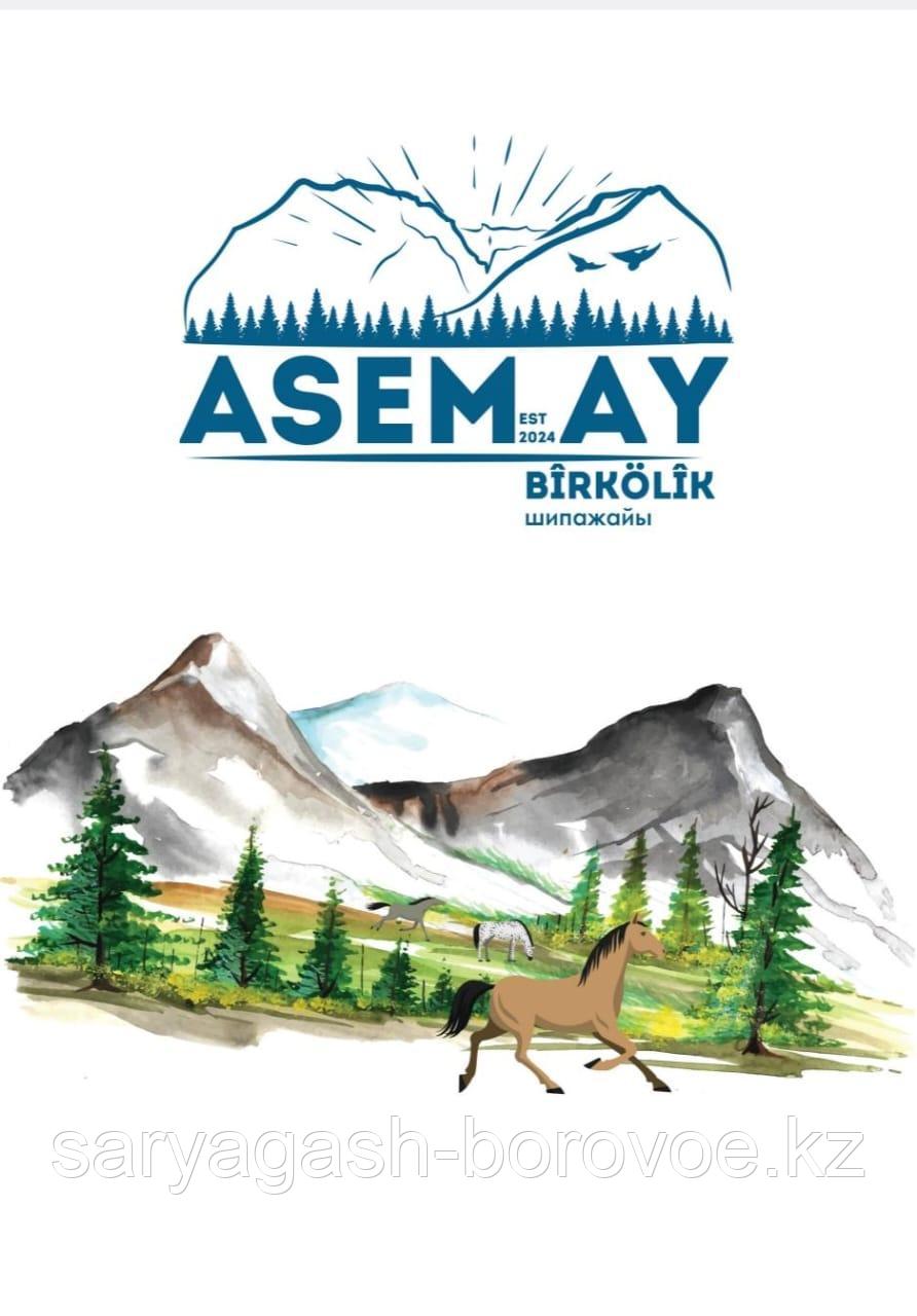 Бироколик Асемай, Бирколик, ЮКО от 18000 тг 87079888821