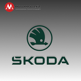 Доводчики дверей Skoda