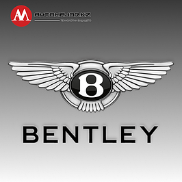 Выдвижные пороги Bentley