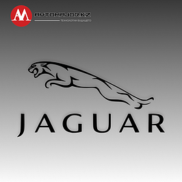 Выдвижные пороги Jaguar
