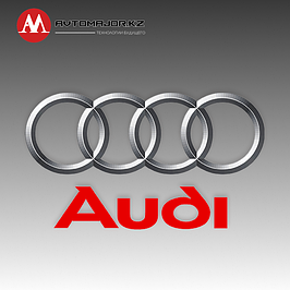 Выдвижные пороги Audi