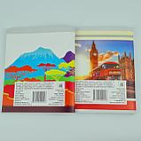 Тетрадь в клетку, А-5, 96 листов, цв. обложка, фото 2