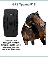 Sicom GPS-трекер, вид животного: лошади, КРС + ошейник в подарок