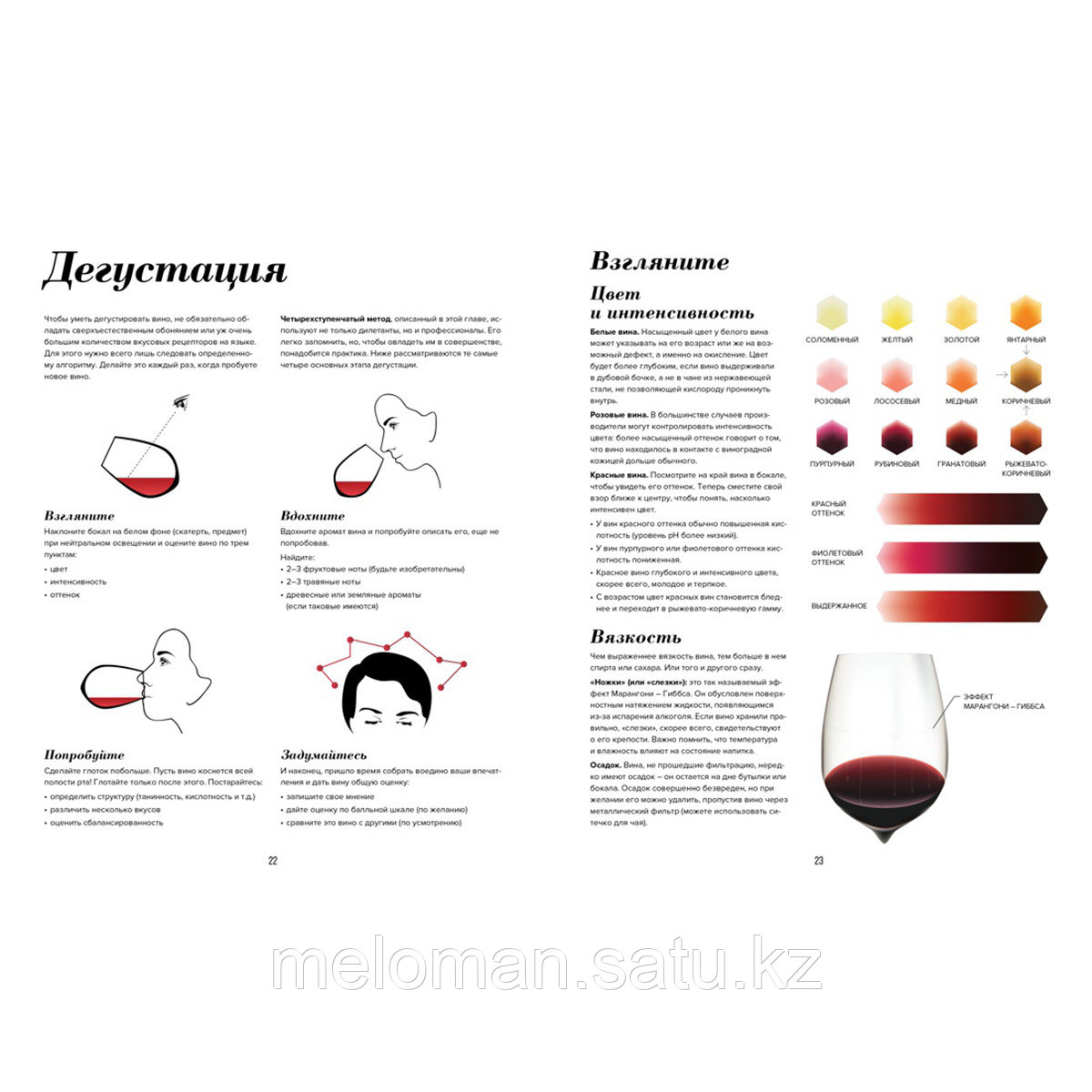 Пакетт М., Хэммек Дж.: Wine Folly. Издание Магнум, детализированное - фото 5 - id-p114986833