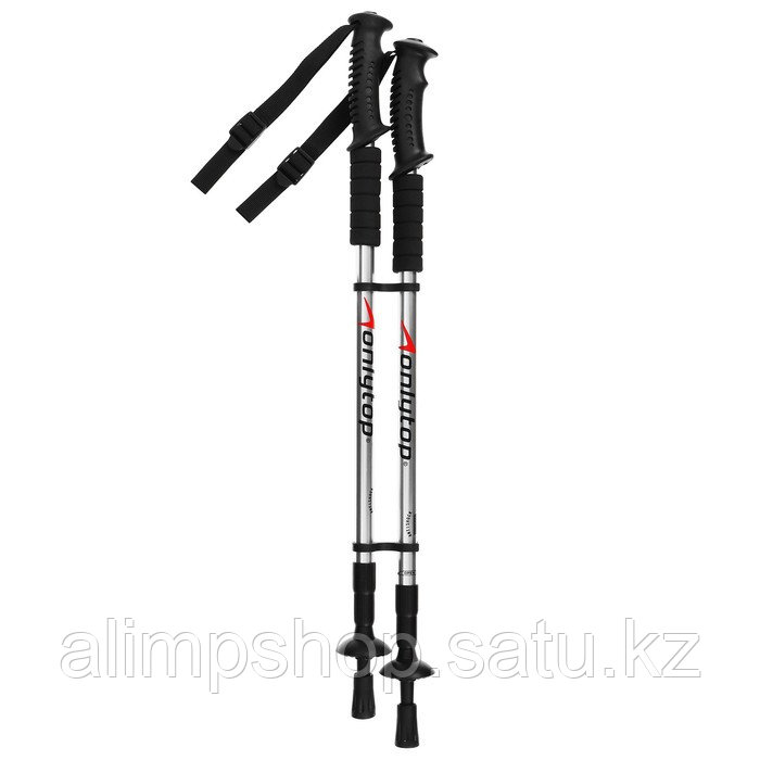 Палки для скандинавской ходьбы ONLITOP, телескопические, 3 секции, до 135 см, 2 шт., цвет МИКС - фото 8 - id-p114739851