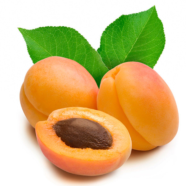 Купить Абрикос в Алматы | Широкая линейка | Доставка по Казахстану