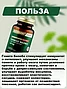Nutraxin Ginkgo Biloba - Гинкго Билоба таблетки для мозга, 60 таблеток, фото 2