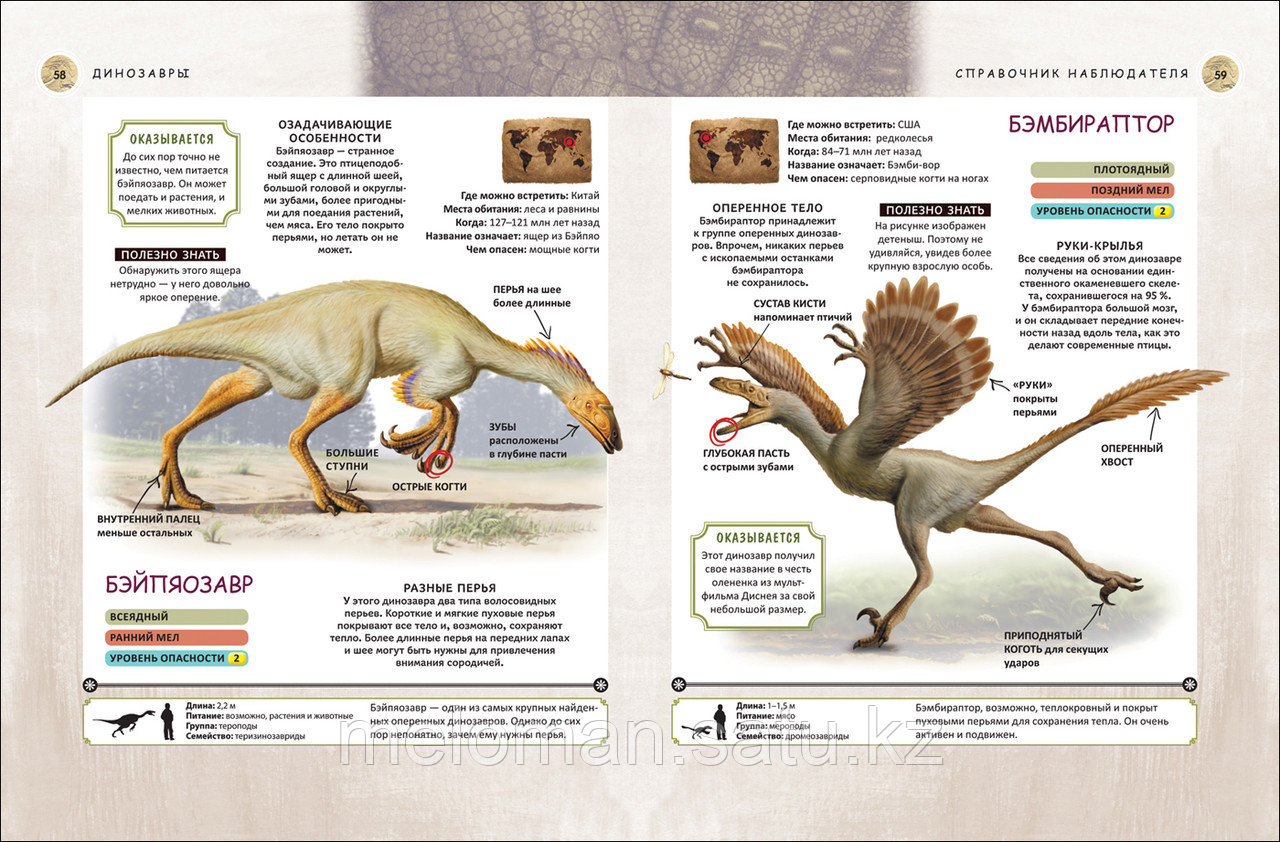 Динозавры. Полная энциклопедия - фото 5 - id-p115012042