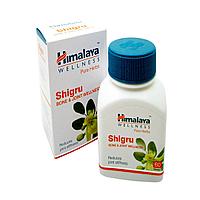 Шигру Хималаи (Shigru Himalaya) для суставов 60 таблеток