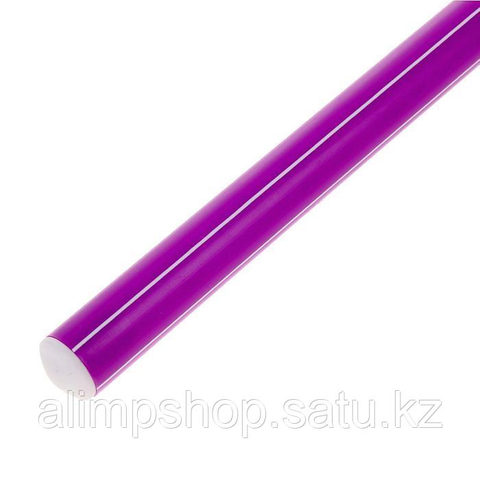 Палка гимнастическая 30 см, цвет голубой Фиолетовый, Фиолетовый - фото 1 - id-p115013482