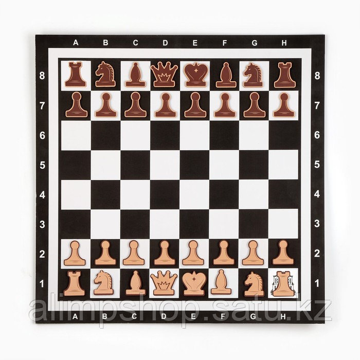 Демонстрационные шахматы 60 х 60 см "Время игры" на магнитной доске, 32 шт, чёрные - фото 5 - id-p115016679