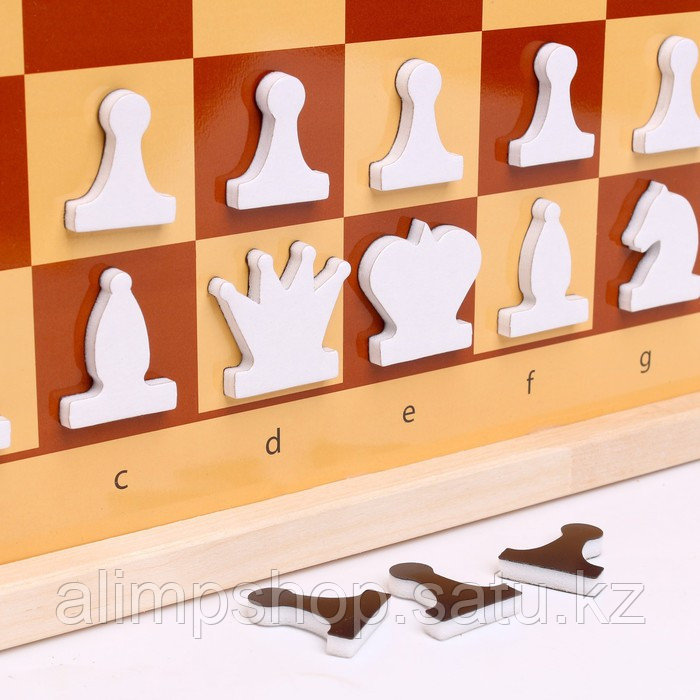 Шахматы и шашки демонстрационные магнитные (мини) - фото 3 - id-p115016686