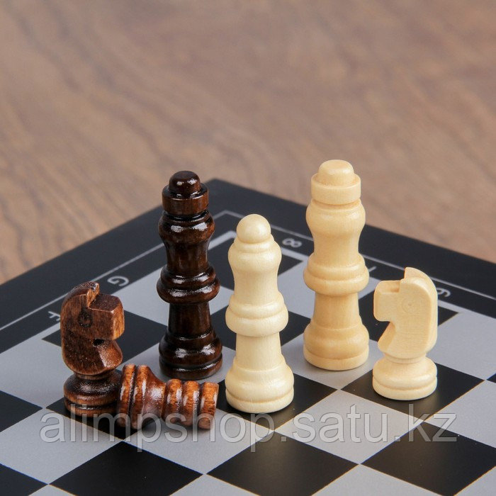 Набор 4 в 1: шахматы, домино, 2 колоды карт, 25 х 25 см - фото 2 - id-p115016821