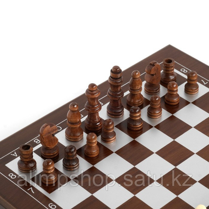 Набор 4 в 1: шахматы, покер (100 фишек, 2 колоды, кубики 5 шт), 24 х 24 см - фото 7 - id-p115016823