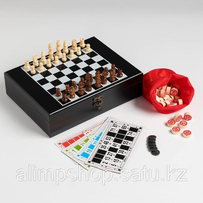 Набор 2 в 1: шахматы, лото, 22 х 27 см - фото 1 - id-p115016859