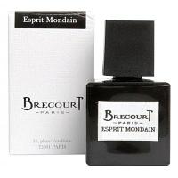 Brecourt Esprit Mondain парфюмированная вода 100 мл + 4*5 мл
