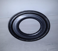 Сальник хвостовика Jac Sunray