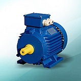 ЭЛЕКТРОДВИГАТЕЛЬ АИР180S4 (380/22КВТ/1500ОБ/МИН/IM1081), фото 2