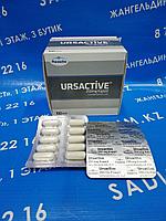 Ursactive Түркия 250м Урсосан Ursactive Pharmactive 250мг/1 капсула (100 капсула)